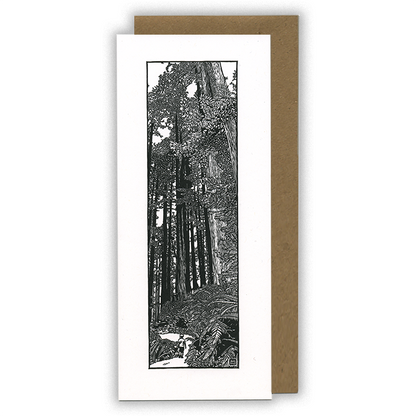 Lynn-oleum - Little Ones CARD